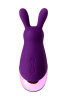Стимулятор эрогенных зон Eromantica BUNNY,